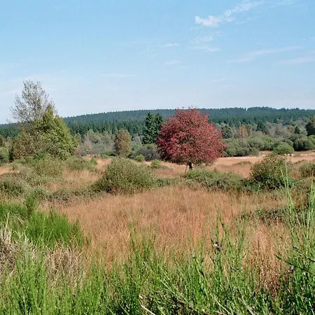 Kanino Apartmán